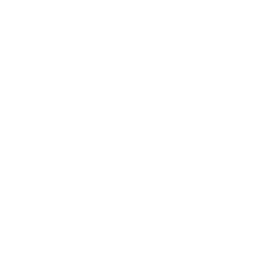 Omni Viewer